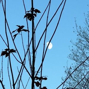 Meet your Posher, Ben